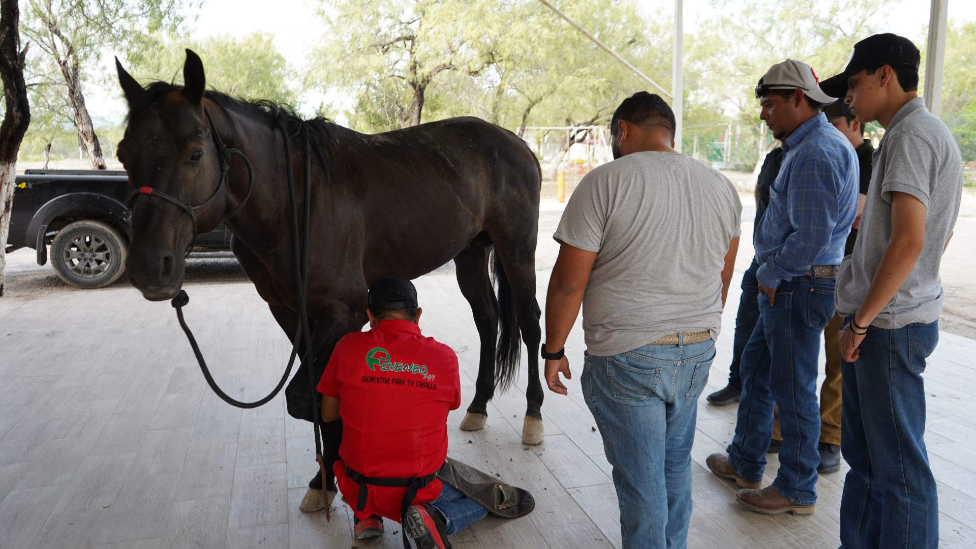 Análisis de la pisada