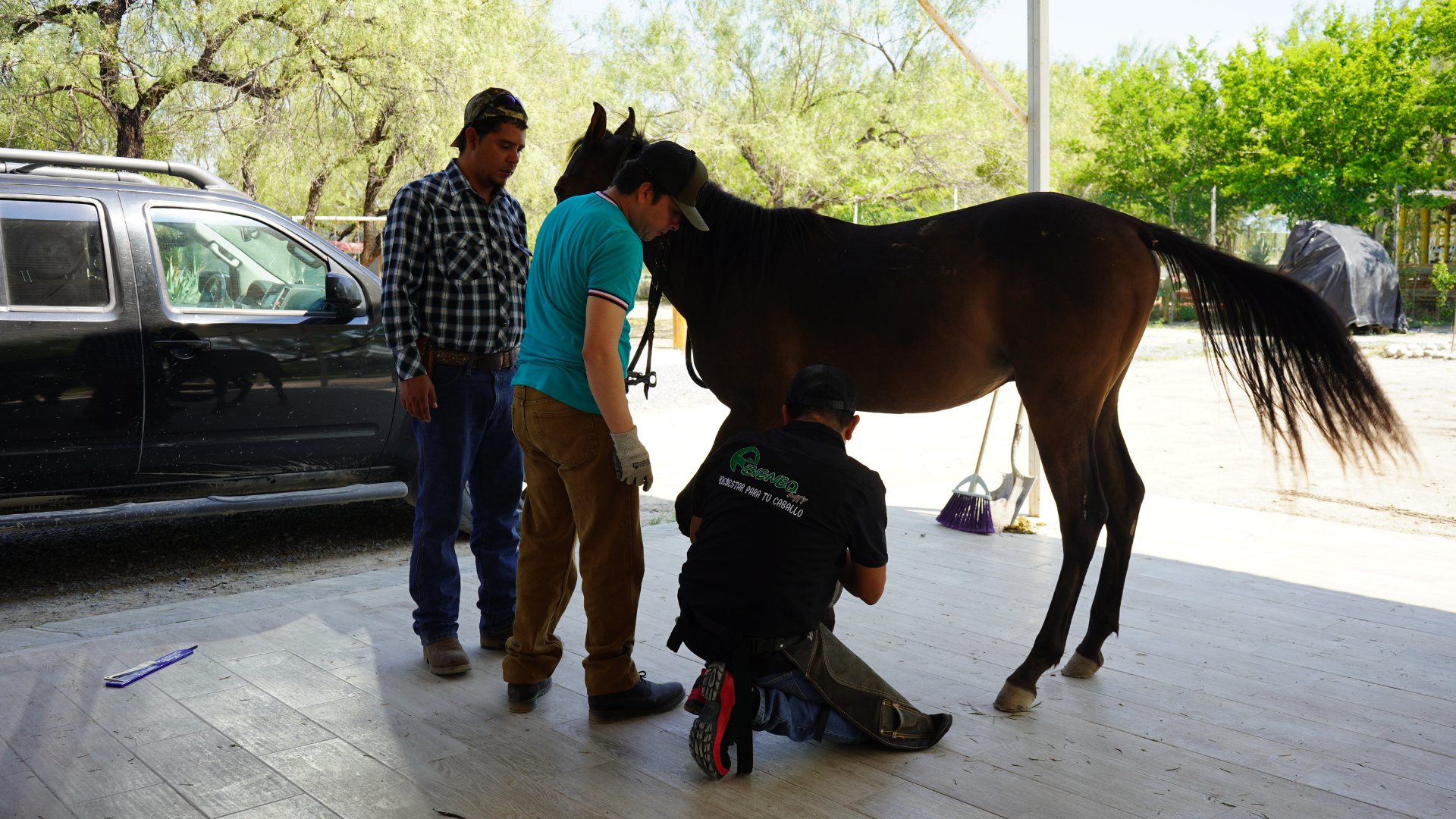 Conformación del casco saludable