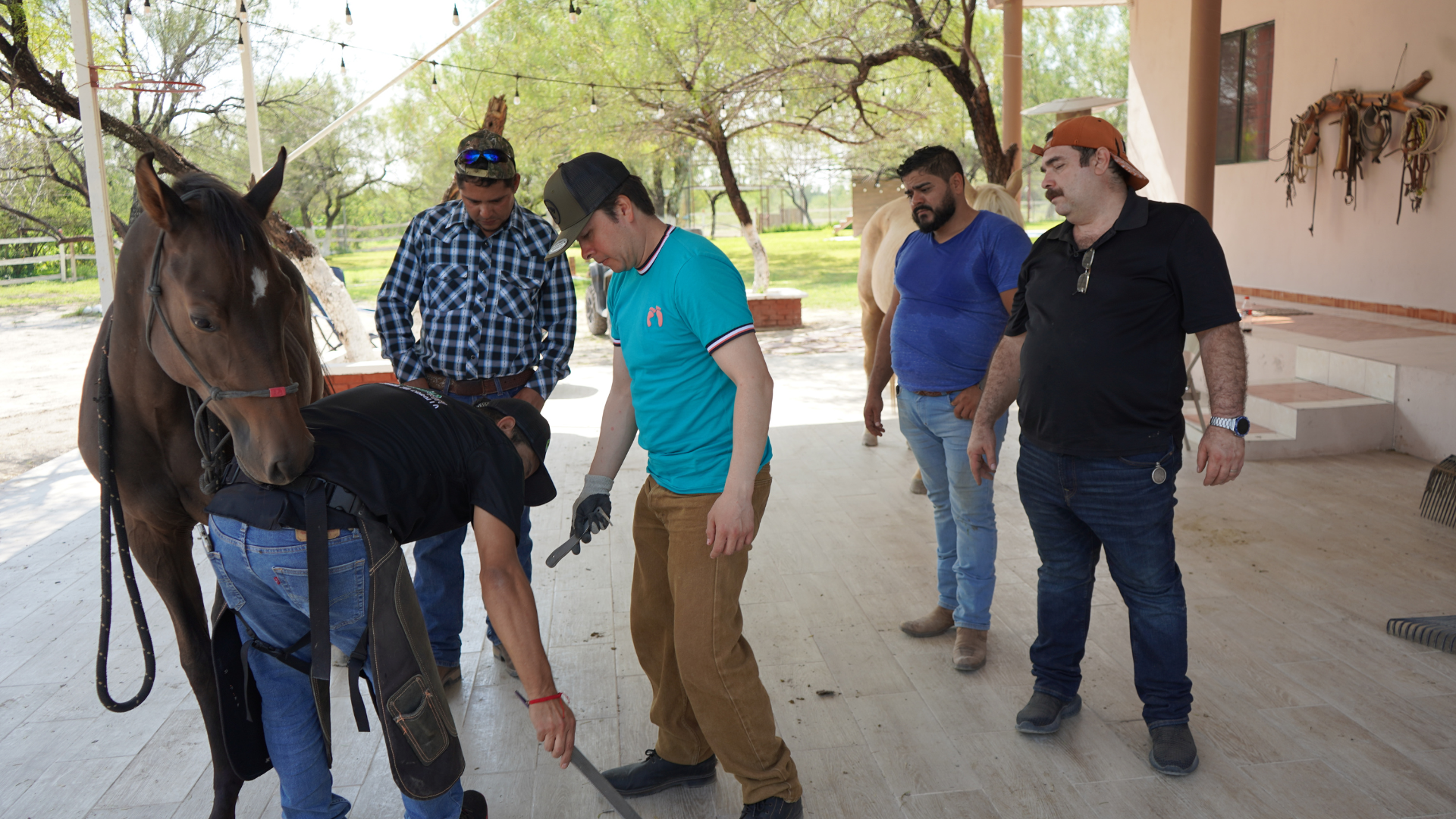 Evaluación biomecánica