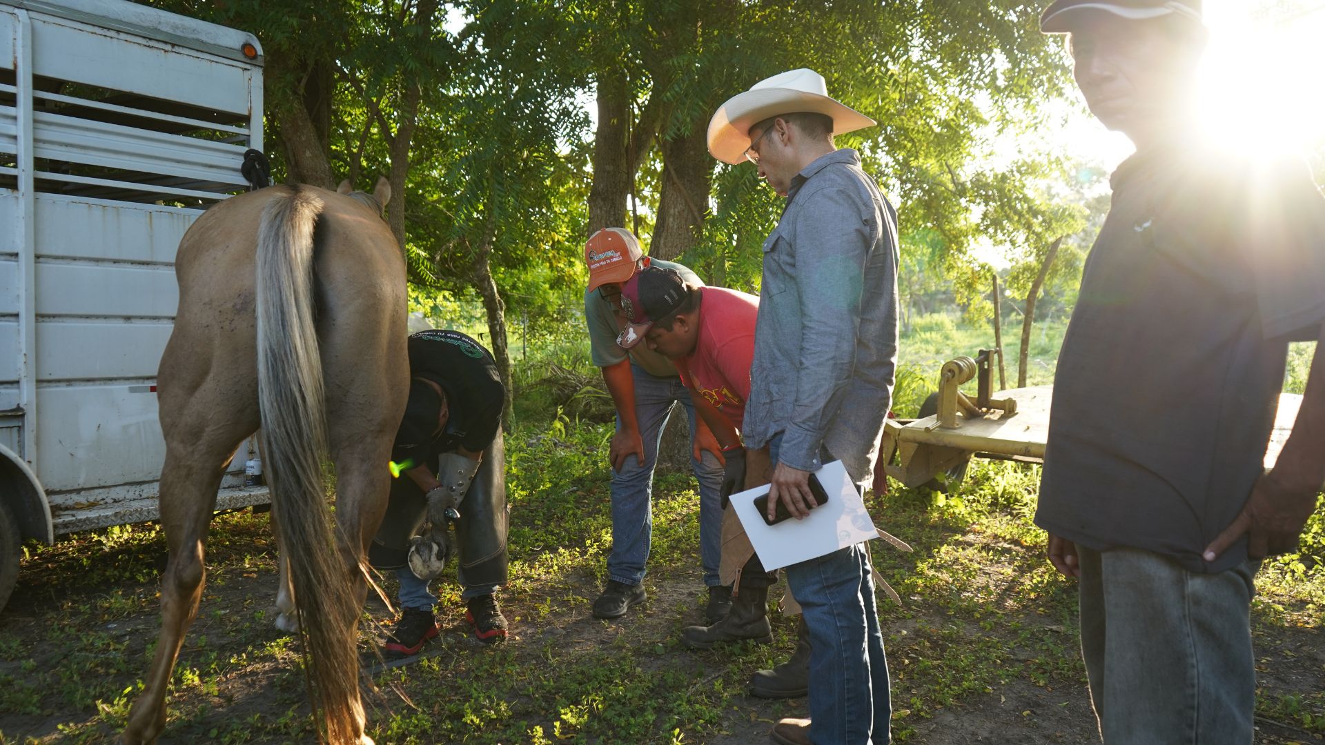 Instrucción grupal bajo sombra