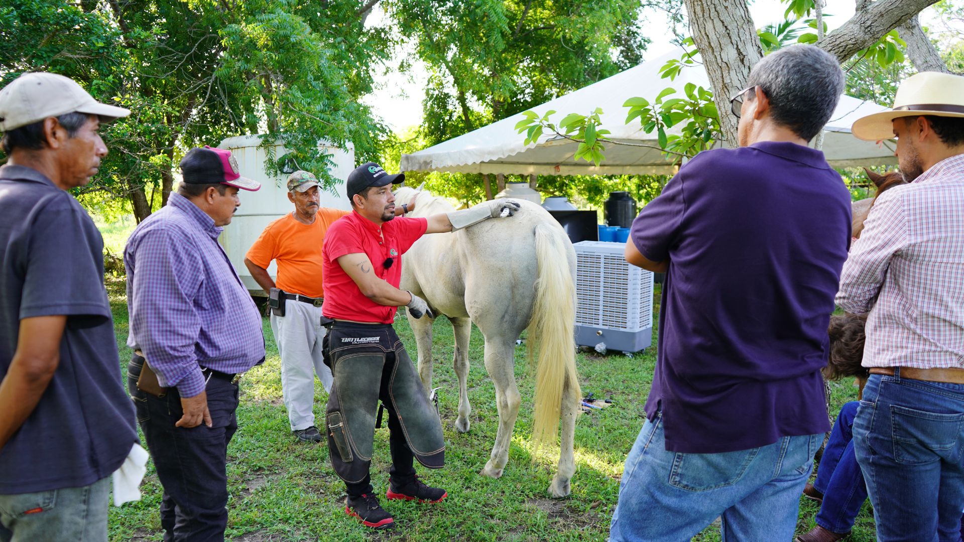 Demostración de recorte fisiológico